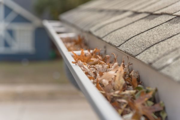 Leaf Barrier Installation in Sterling